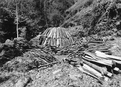  Image name: 23 Carbonai.jpg 
 width: 400 pixel 
 height: 287 pixel 
 Size: 37004 bytes 
 Click to enlarge 